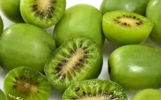 Киевская гибридная / Київська гібридна