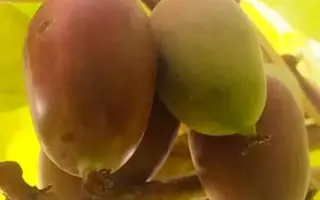 /Надія/ / Надія