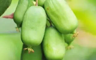 Смарагдова