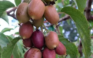 Jon Car / Джон Кар