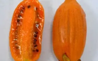 Помаранчева