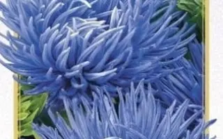 Лебедине озеро