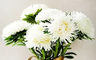 Лэлэка / Лелека