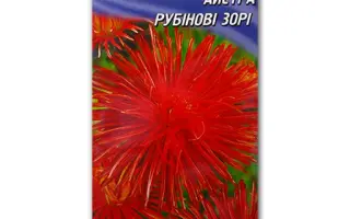 Рубиновые звезды / Рубінові звьозди