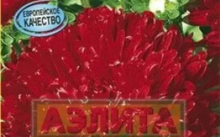 Миледи шерлахово-красная / Міледі шарлахово-червона