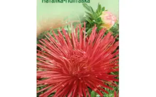 Наталка-Полтавка