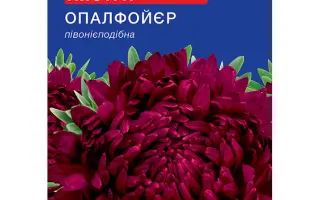 Опалфойер / Опалфойєр