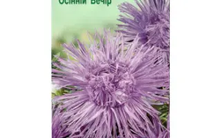 Осенний вечер / Осінній вечір