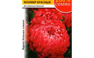 Фламир красная / Фламір червона