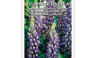 Синий парус / Синій парус