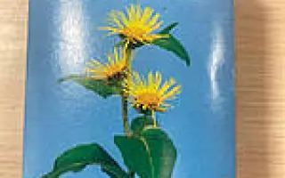 Волынский 1 / Волинський 1