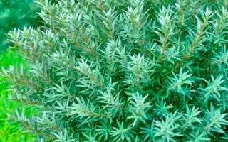 Andros / Андрос