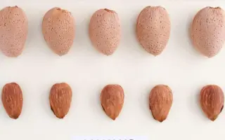 MAKAKO / МАКАКО