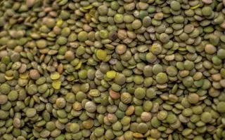 ЄС Максимум