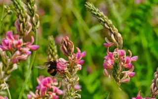 Кіровоградський 22