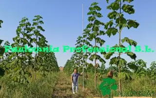 ZE PRO / ЗЕ ПРО