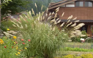 Місячний промінь