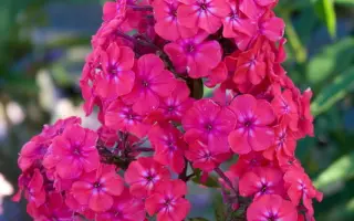 Юбилейный / Ювілейний