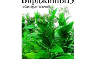 Вірджинія 15