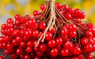 Україночка