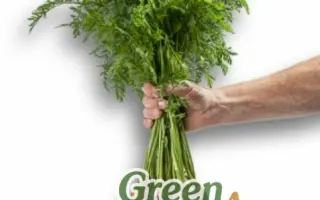 55-200 RZ F1 / 55-200 РЗ F1