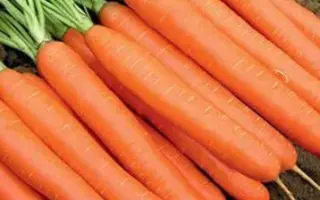 HONEYSNAX / ХАНІСНЕКС