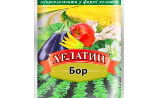 Боремін