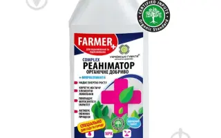 УКРАЇНСЬКІ ГУМАТИ