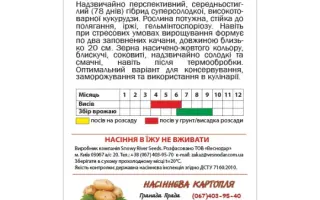 ASTRONAUT / АВСТРОНАВТ