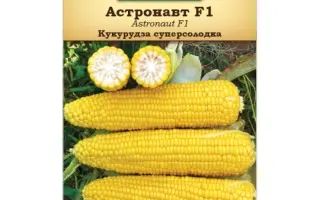 ASTRONAUT / АВСТРОНАВТ