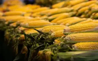 Accentuate / Акцент