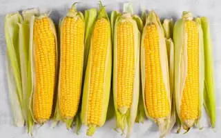 Accentuate / Акцент