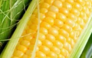 Апетитная / Апетитна 5