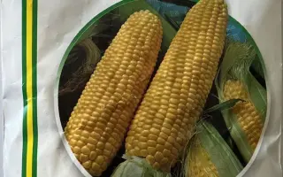 Апетитная / Апетитна 5