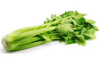 Aritra / Арітра