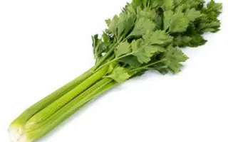 Aritra / Арітра