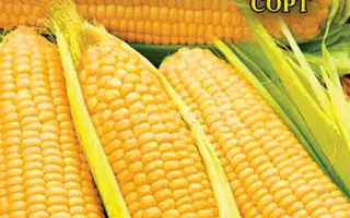 Ароматная / Ароматна