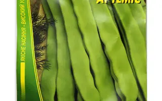 Artemis / Артеміс