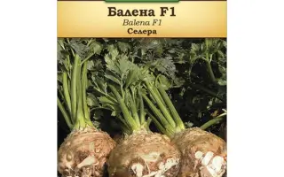 Balena / Балена