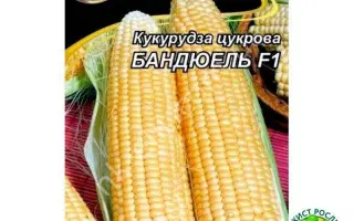 Bandit F1 / Бандіт F1