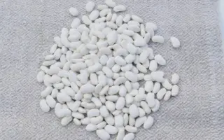 Білосніжка