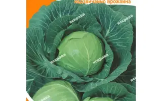 Білосніжка