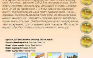 Bogema / Богема