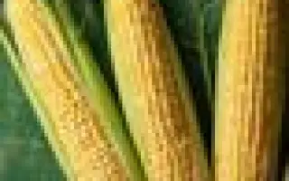 CUMBERLAND / КАМБЕРЛЕНД