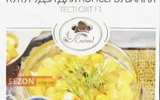 Candle F1 / Кєндл F1