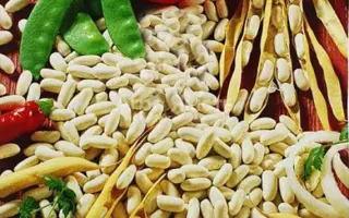 Cannellino / Каннелліно