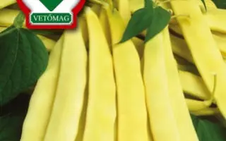 Caprika / Капріка