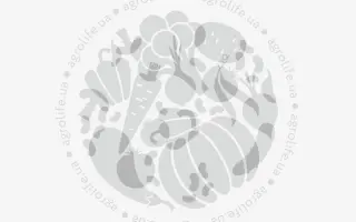 Caramelo / Карамело