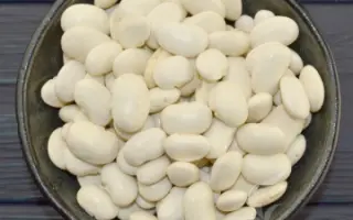 Contada / Контада