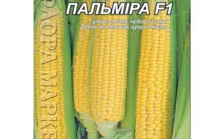 ДН Пальміра